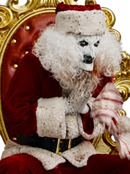 Scary Movie 6 Artie Claus Costume - Image 2